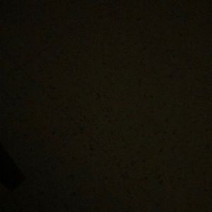 Meet your Posher, Benedict